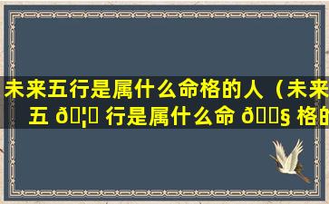 未来五行是属什么命格的人（未来五 🦊 行是属什么命 🐧 格的人呢）